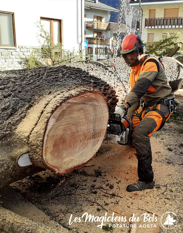 Abbattimento Alberi Alto Fusto Aosta:  Dispositivi di protezione
