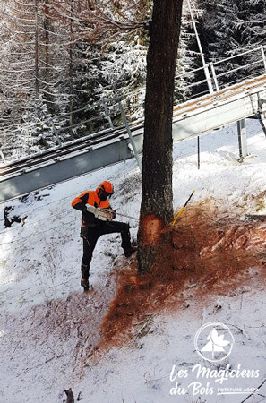 Come abbattere un albero? Chiedi l'intervento dei professionisti di Les Magiciens du Bois Potature Aosta