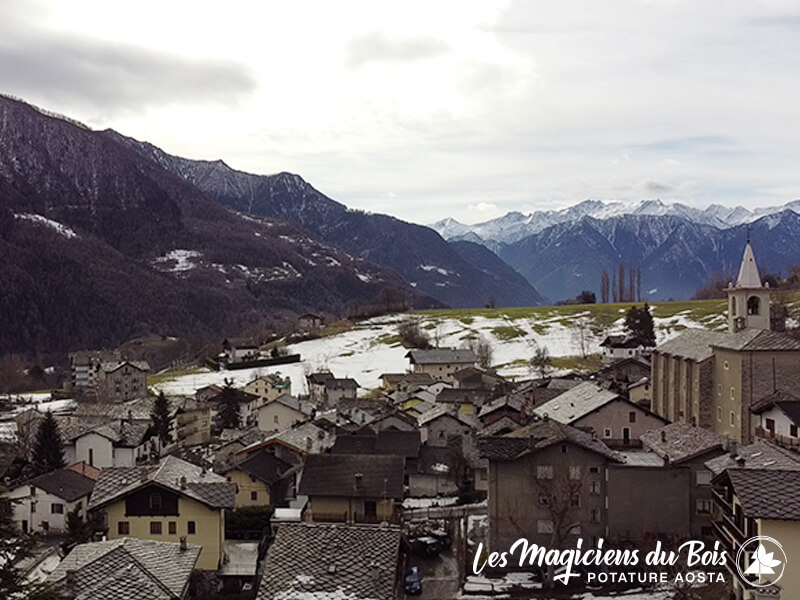 Abbattimento Alberi Aosta La Rimozione Dei Cedri Del Libano 09