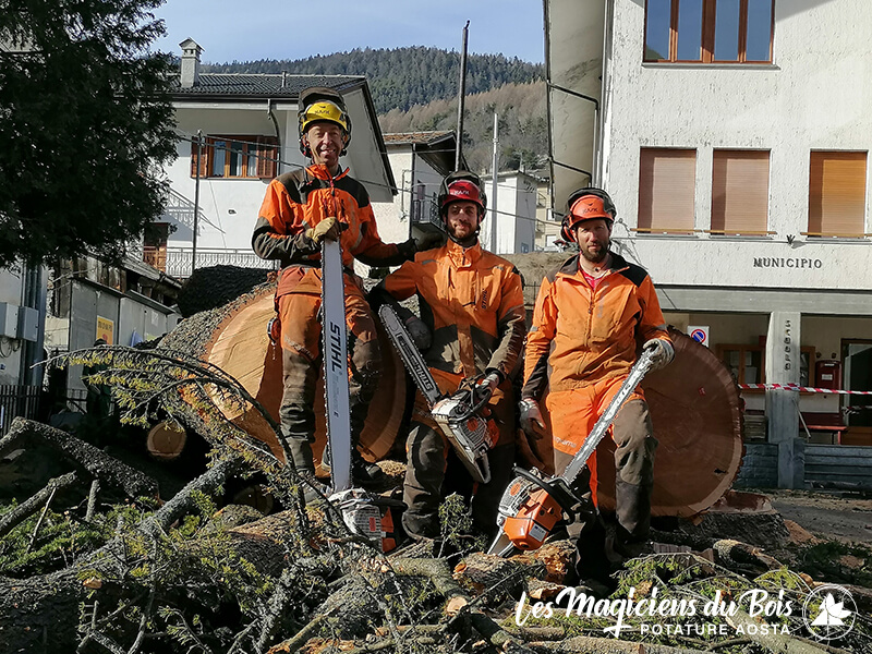 Abbattimento Alberi Aosta: la Rimozione dei Cedri del Libano - Team