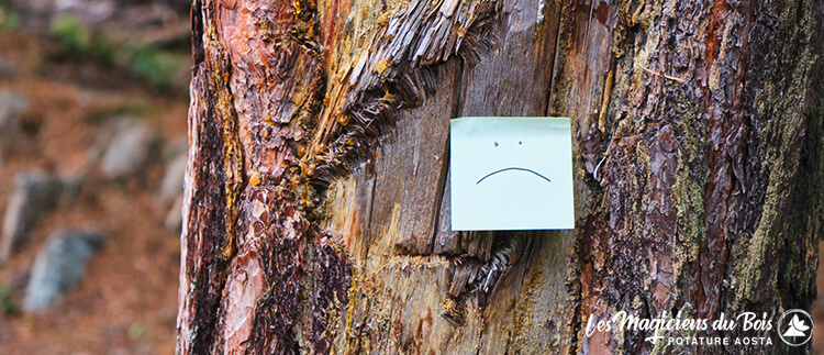 Abbattimento Alberi Aosta - Post It con Emoticon Triste su un Tronco d'Albero