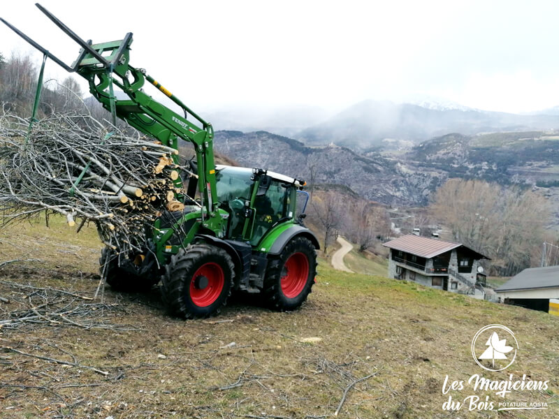 Abbattimento Alberi Aosta Interviene Les Magiciens Du Bois Introd 02