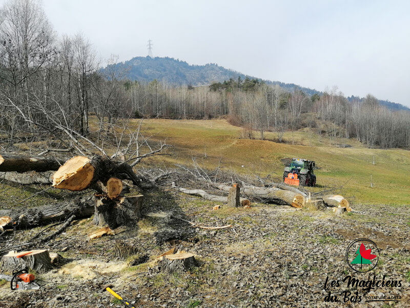 Abbattimento Alberi Aosta Interviene Les Magiciens Du Bois Introd 03