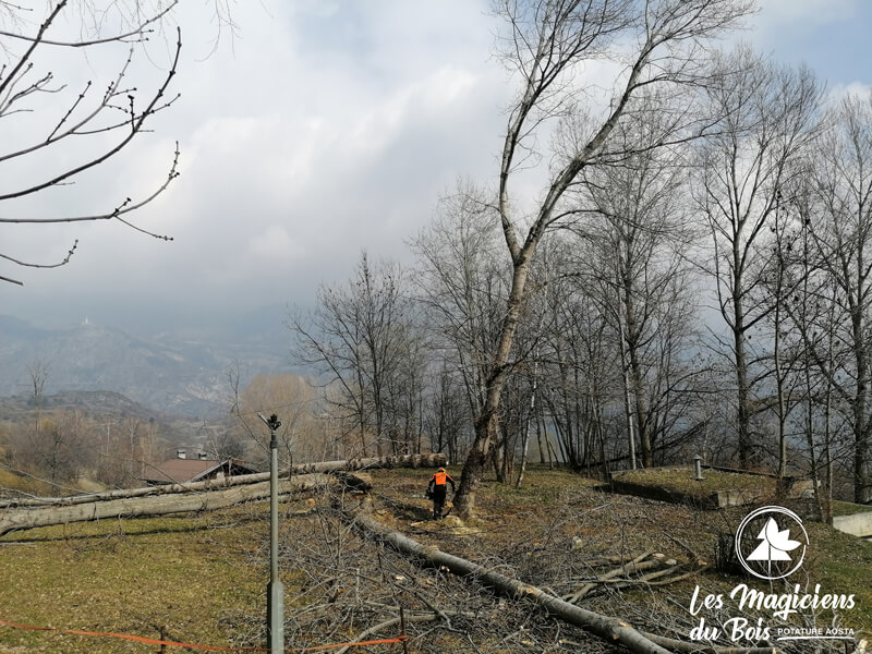 Abbattimento Alberi Aosta Interviene Les Magiciens Du Bois Introd 04