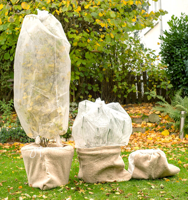 Telo Protettivo Per Alberi In Iuta – Antigelo E Freddo, 20x300 Cm