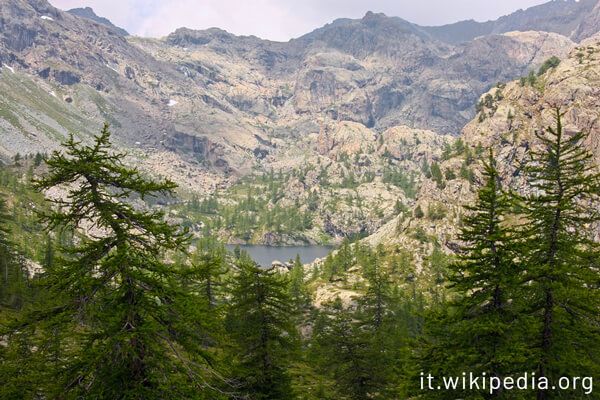 Lavori Boschivi Aosta - Parco Naturale Monte Avic