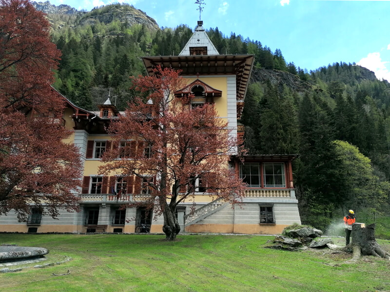 Lavori Boschivi Aosta Salvaguardare E Preservare I Boschi 02