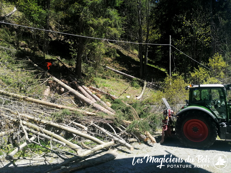 Lavori Boschivi Aosta Salvaguardare E Preservare I Boschi 04