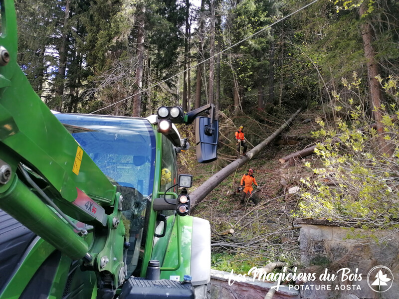 Lavori Boschivi Aosta Salvaguardare E Preservare I Boschi 05