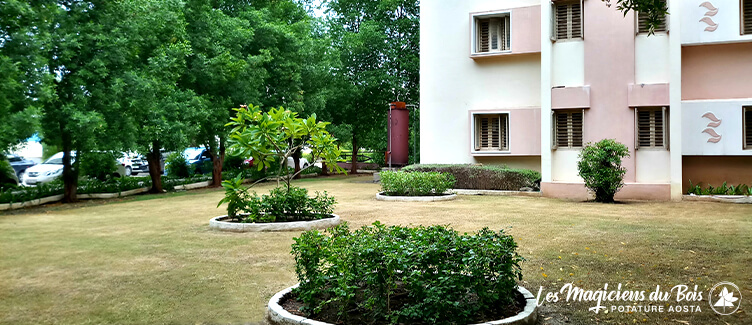 Manutenzione Giardini Condominiali Aosta: cosa dice la Legge Manutenzione Giardini Condominiali Aosta: cosa dice la Legge