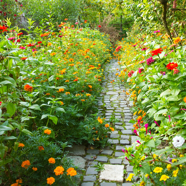 Manutenzione Giardino Privato Aosta - Cura Verde Pubblico