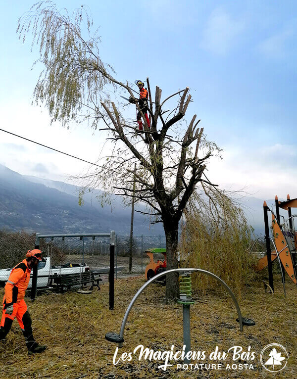 Manutenzione Verde Pubblico Aosta Straordinaria