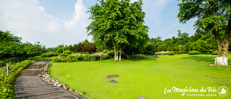 Manutenzioni Giardini Aosta: Aree Verdi Sane, Belle e Sicure Manutenzioni Giardini Aosta: Aree Verdi Sane, Belle e Sicure