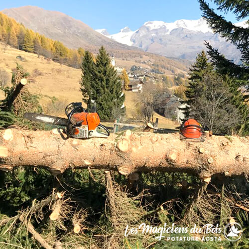 Potatura Alberi Aosta: il Problema della Sicurezza Stradale (Potatura siepi)