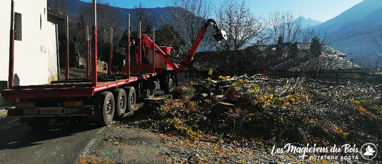 Potatura Alberi Aosta: il Problema della Sicurezza Stradale