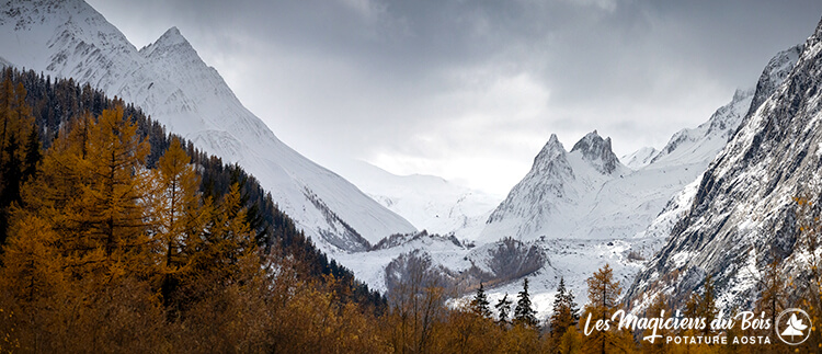 Potatura Invernale Aosta: Rispondiamo ai Principali Dubbi