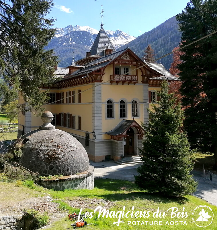 Progettazione Giardini Aosta - Manutenzione
