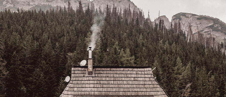 Tipi di Legna da Ardere Aosta: Qual è la Migliore? - Riscaldamento casalingo