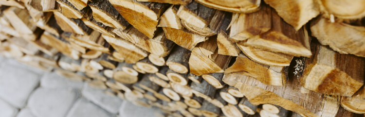Vendita Legna da Ardere per Caminetto Aosta - Tipi di legno