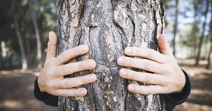 Il tuo amico albero sempre con te