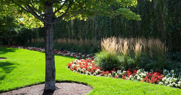 Manutenzione giardini Aosta - Verde pubblico e privato