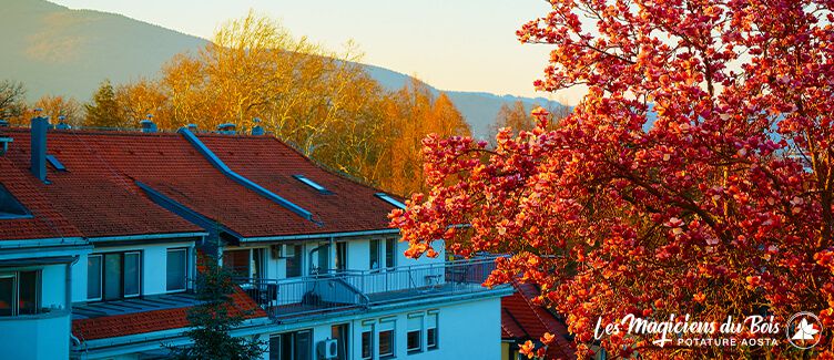 Abbattimento Alberi Alto Fusto Condominiali: Quando si può Procedere
