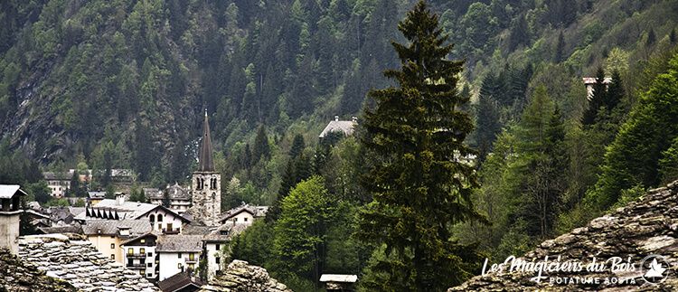 Alberi in Inverno Aosta - Vista Alberi da sopra un tetto