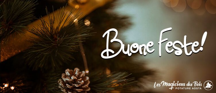Buon Natale da Les Magiciens Du Bois Potature Aosta