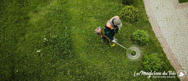 Detrazione Fiscale Giardino: il Bonus Verde è Stato Prorogato