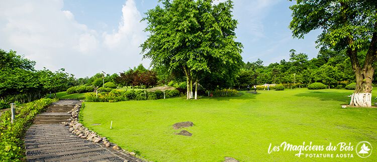 Manutenzioni Giardini Aosta: Aree Verdi Sane, Belle e Sicure